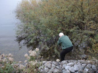 Moehnesee_051014_ja35.jpg