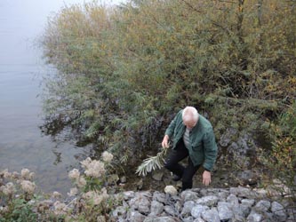 Moehnesee_051014_ja36.jpg