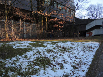 RUBMoose210117_ja06.jpg