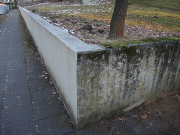 RUBMoose210117_ja34.jpg
