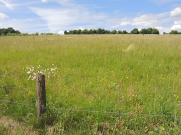 Remscheid_Feldbachtal_101017_ja12.jpg