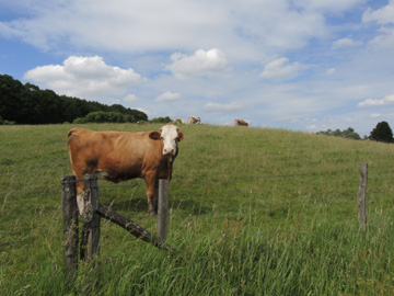 Remscheid_Feldbachtal_101017_ja19.jpg