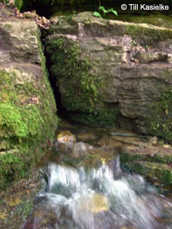 SWD2009_5_TK215.jpg