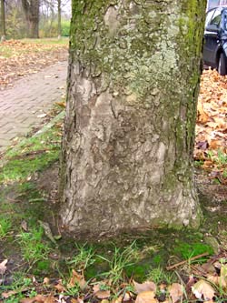 Schmechtingtal071117_ja10.jpg