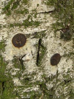 Schmechtingtal071117_ja27.jpg