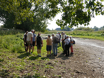 Exkursion Lippborg Lippeaue