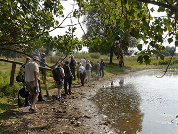 Exkursion Lippborg Lippeaue