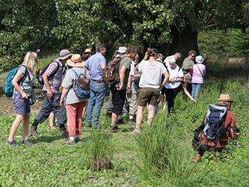 Exkursion Lippborg Lippeaue