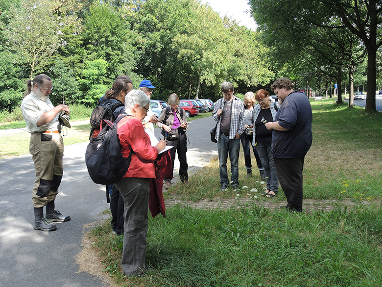 Exkursion Apiaceae-Workshop 2 2016-07-30