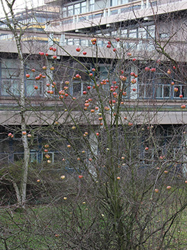 Exkursion Bochum RUB 2014-01-25