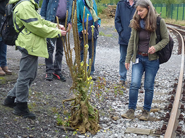 Exkursion 2015-09-13 Hattingen Henrichshütte